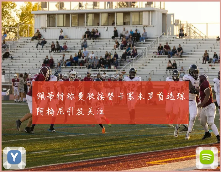 佩蒂特称曼联接替卡塞米罗首选琼阿梅尼引发关注